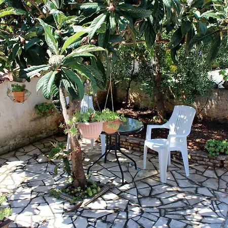 Apartmani Vinkuran Apartment Vinkuran